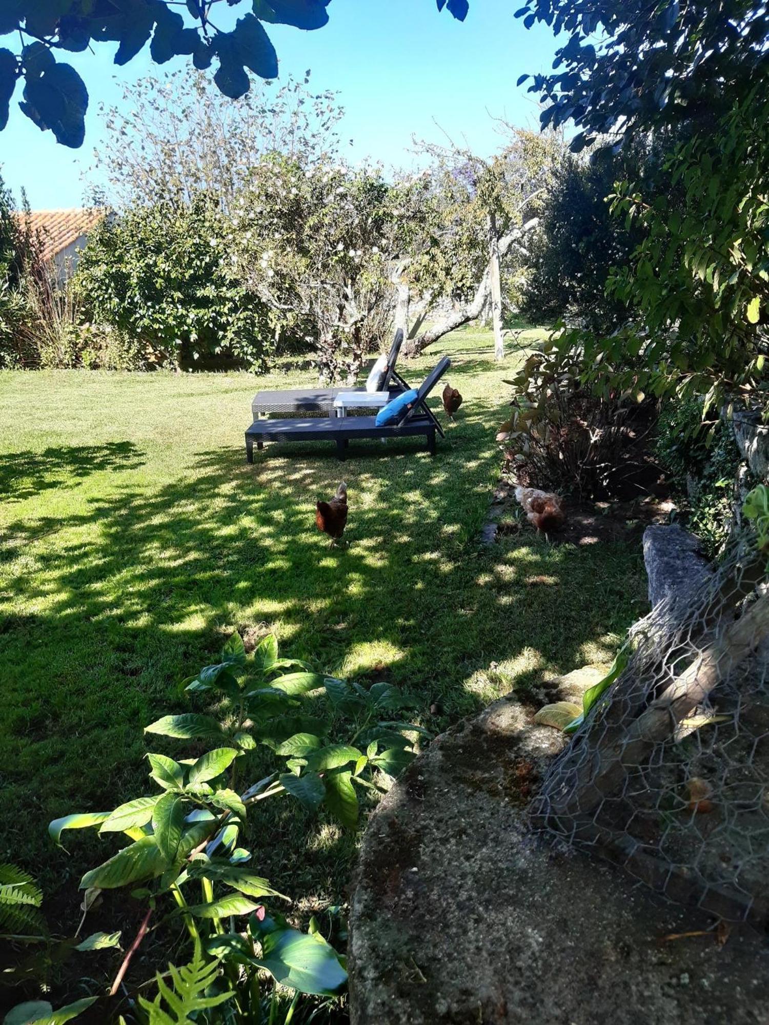 Casinha Nº461 Villa Vila Praia de Ancora Bagian luar foto